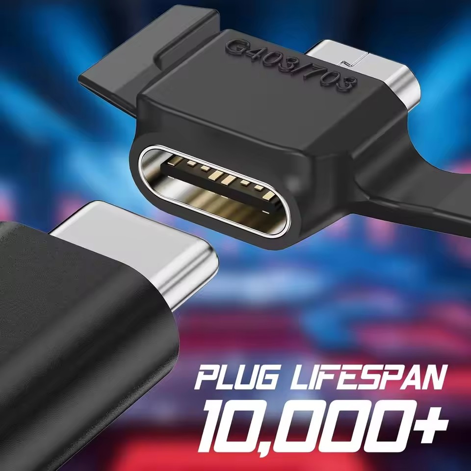 Adaptateurs de type C vers Mic - Type 2 Charger avis et prix